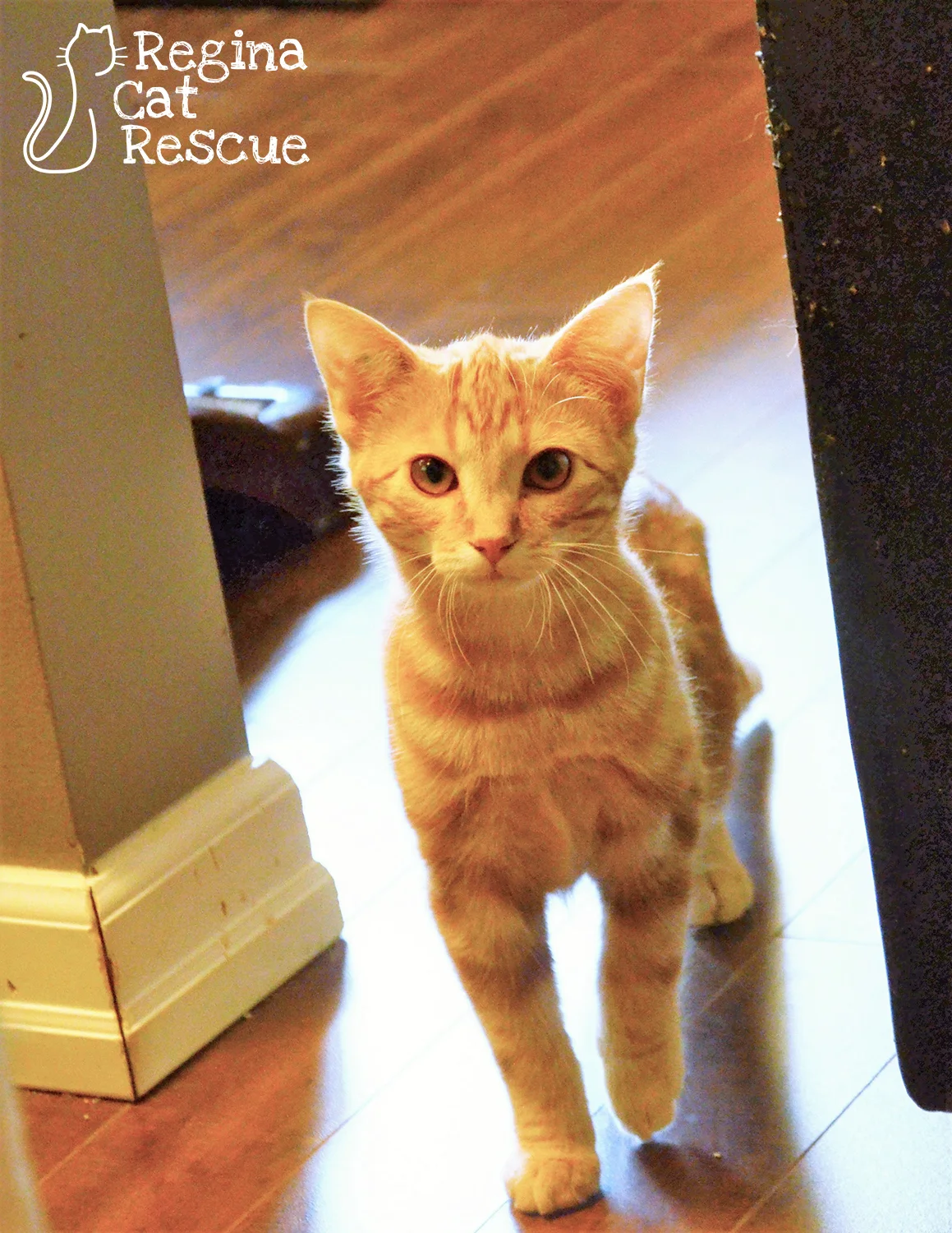 Photos of Clark by RB Photography
