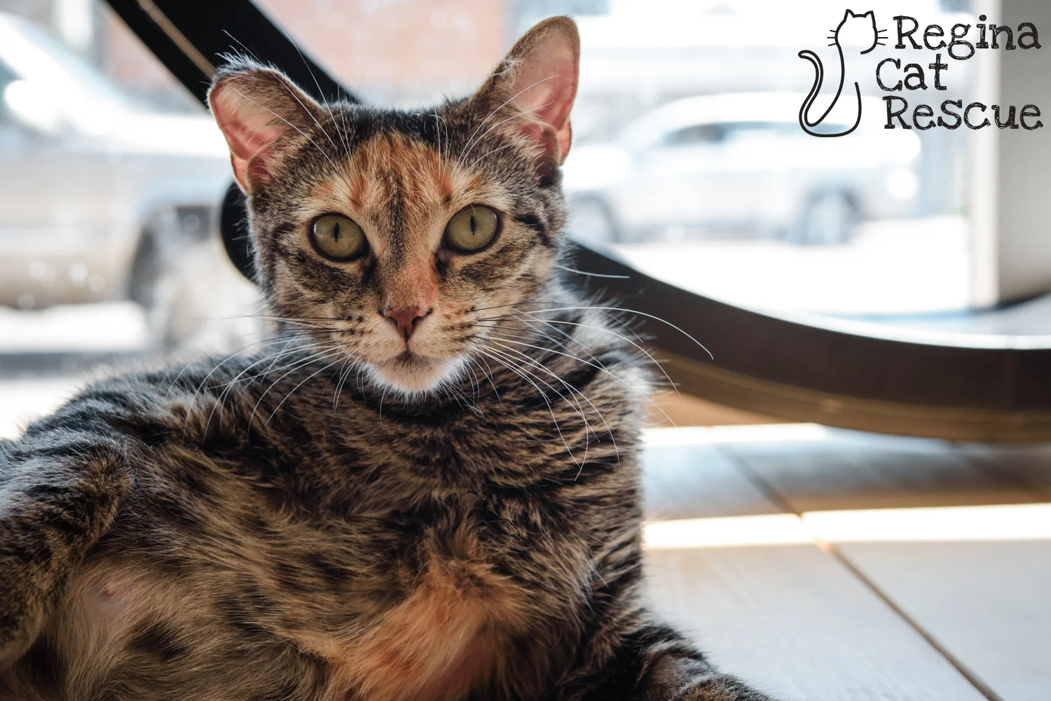 Photos of Val by Erika Gayle Photography