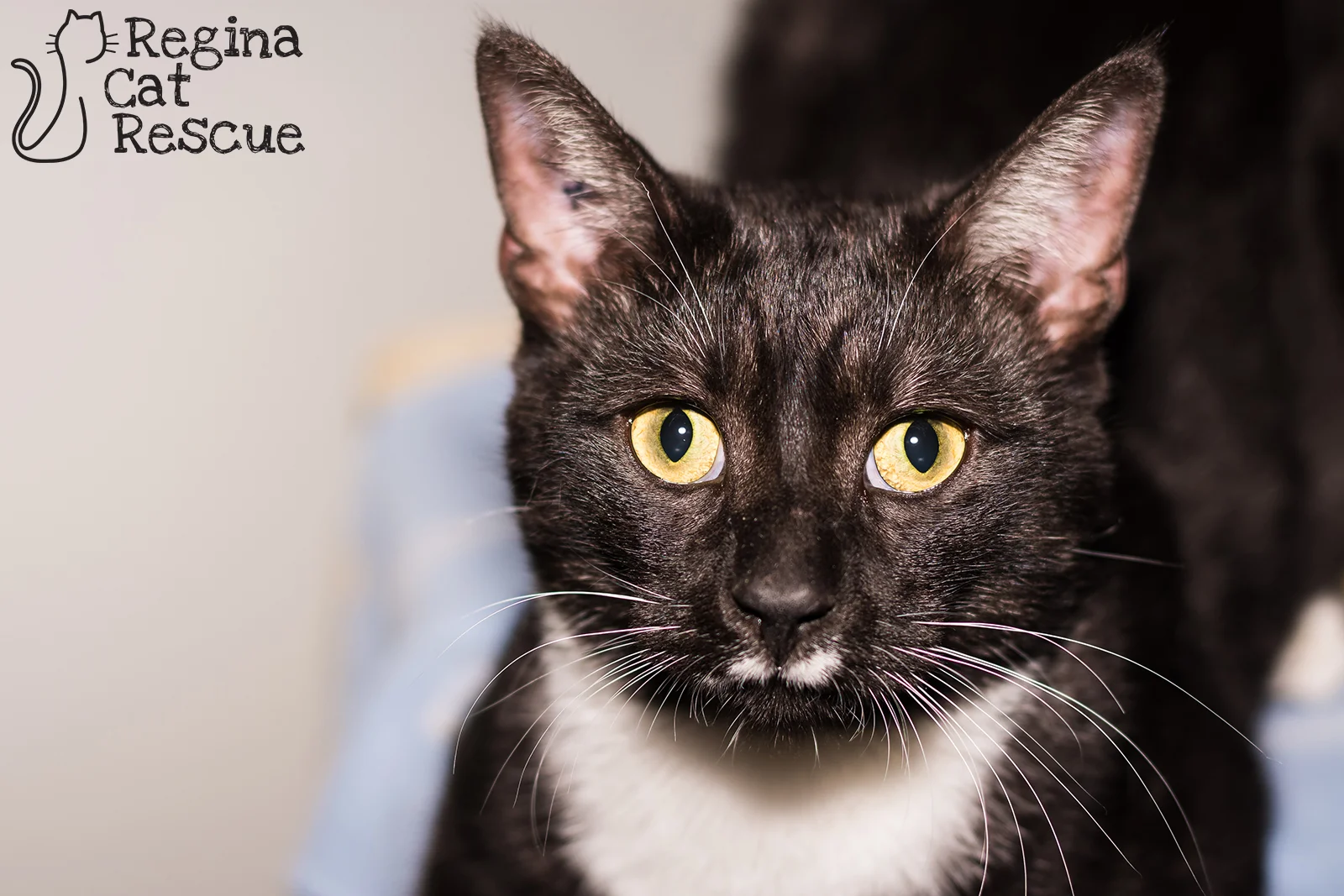 Photos of Bunsen by Lindsey-Frozen Moments Photography