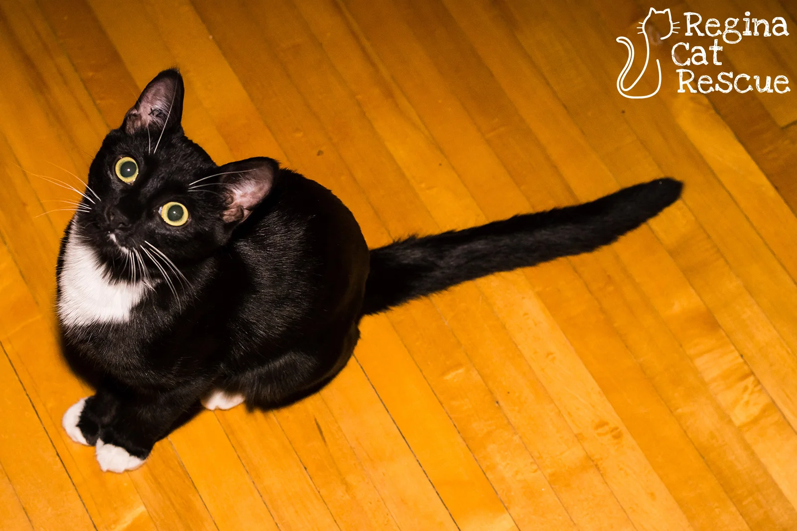 Photos of Poppy by Lindsey-Frozen Moments Photography