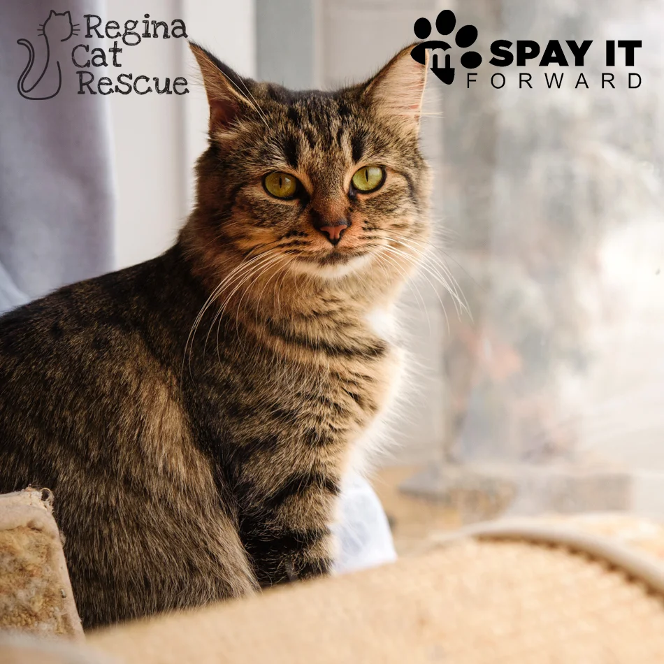 Photos of Fredericka by Erika Gayle Photography