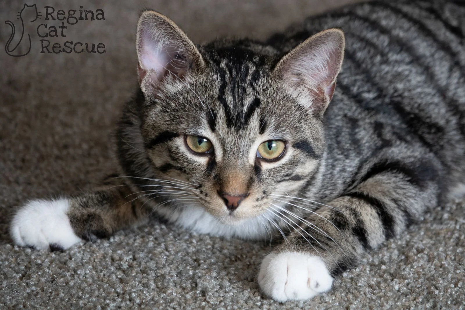 George-Nov2018.jpg