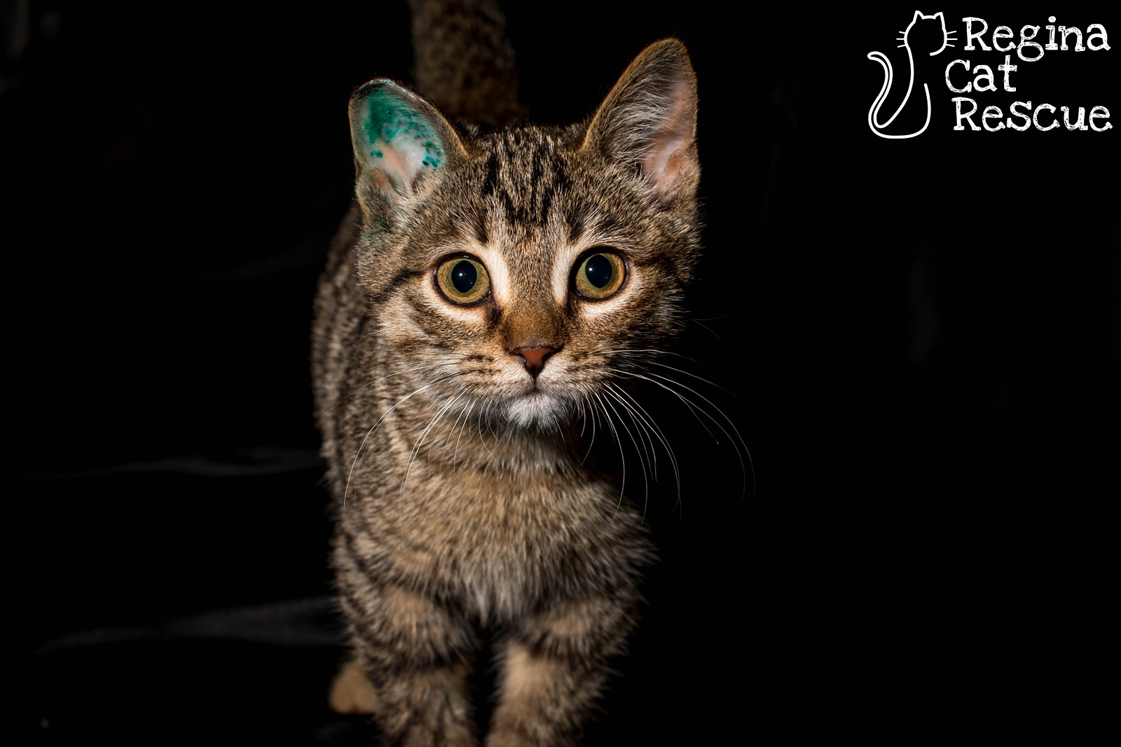 Minnie2-March2019.jpg
