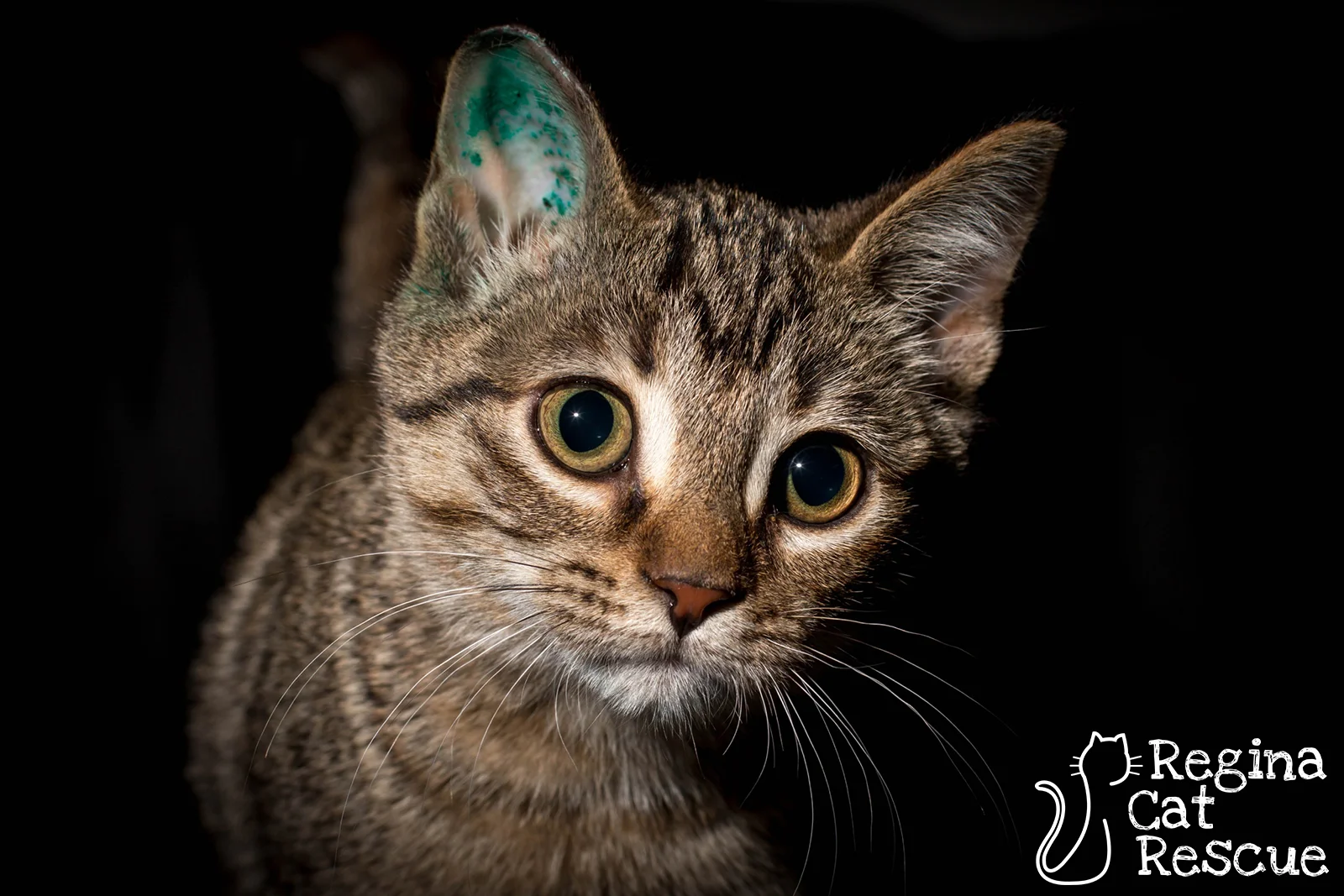 Photos of Minnie by DJ Frigon