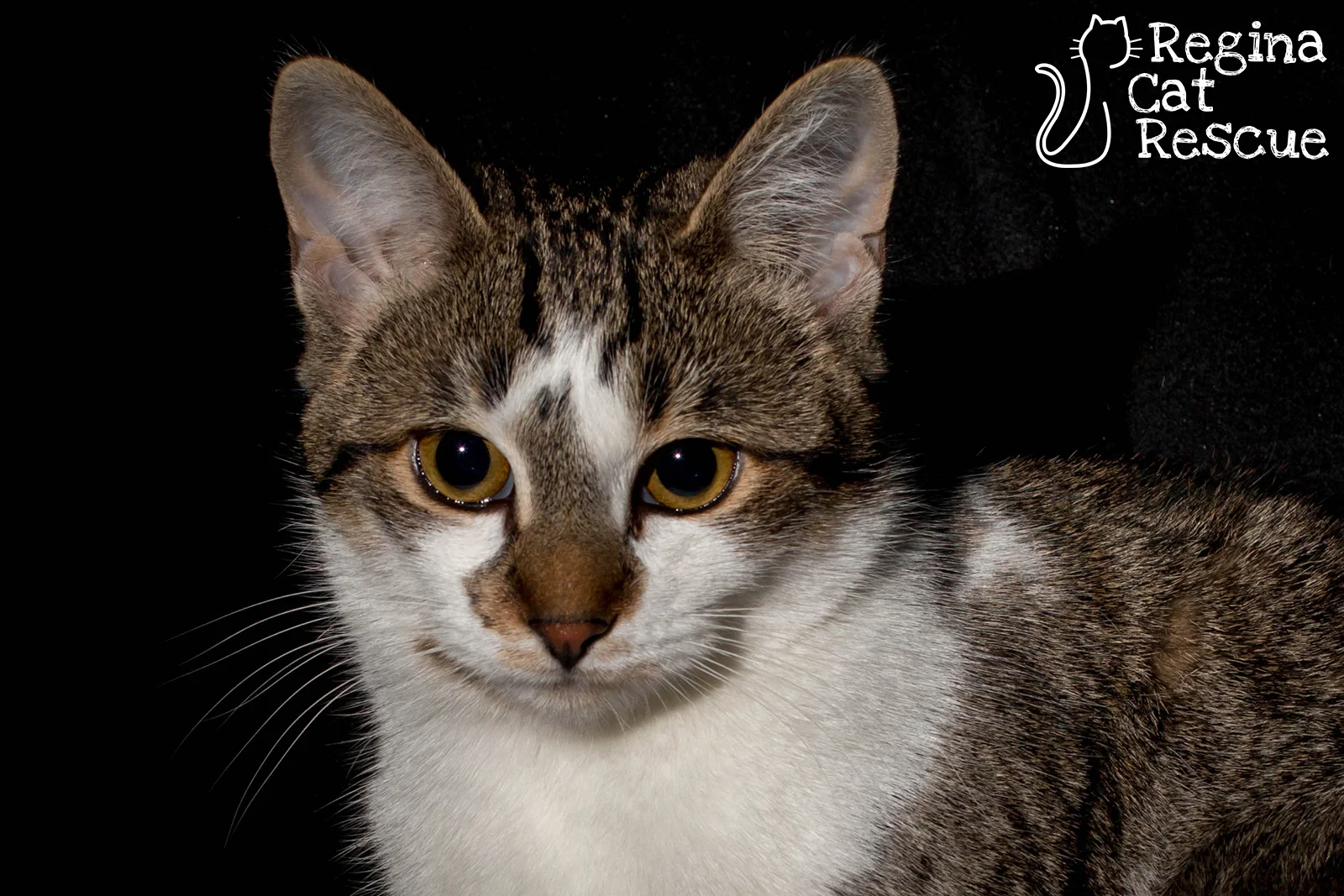 Photos of Mindy by DJ Frigon