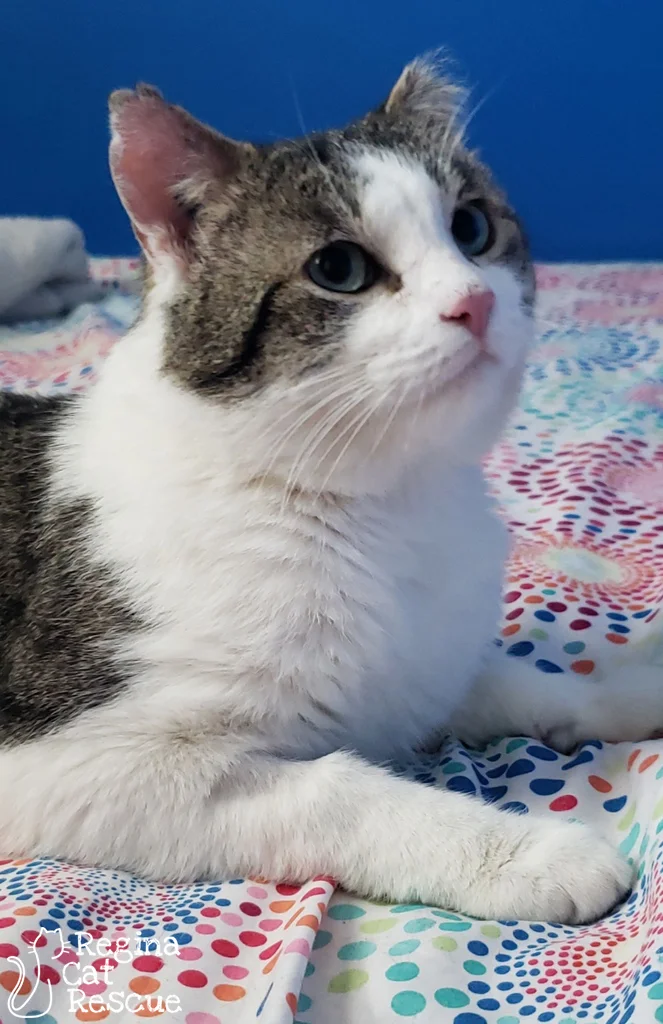 Wuzzy4-April2019.jpg