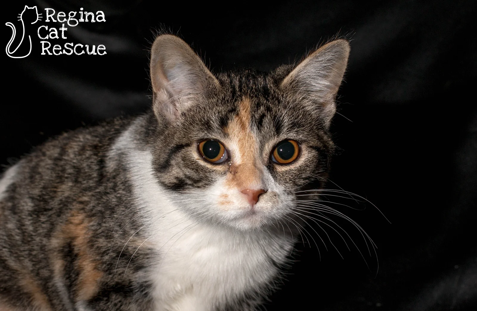 Stella7-April2019.jpg