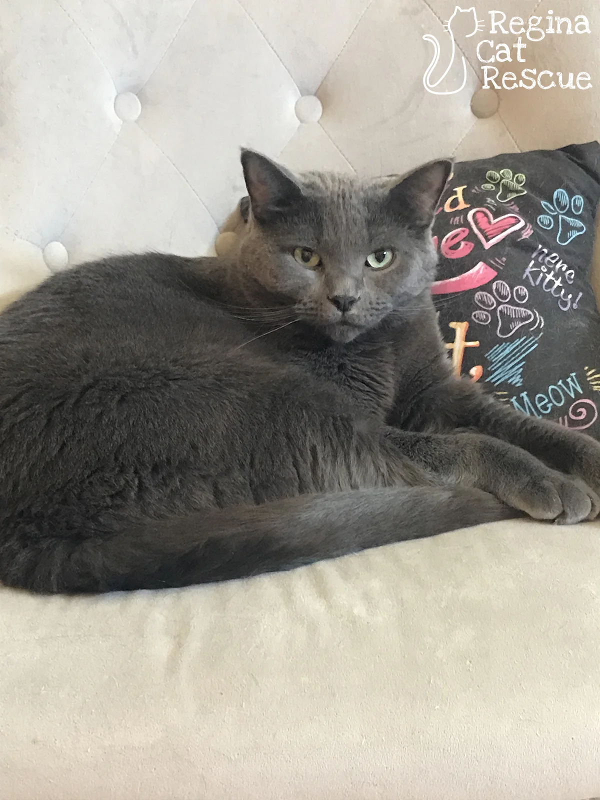 Marley2-April2019.jpg