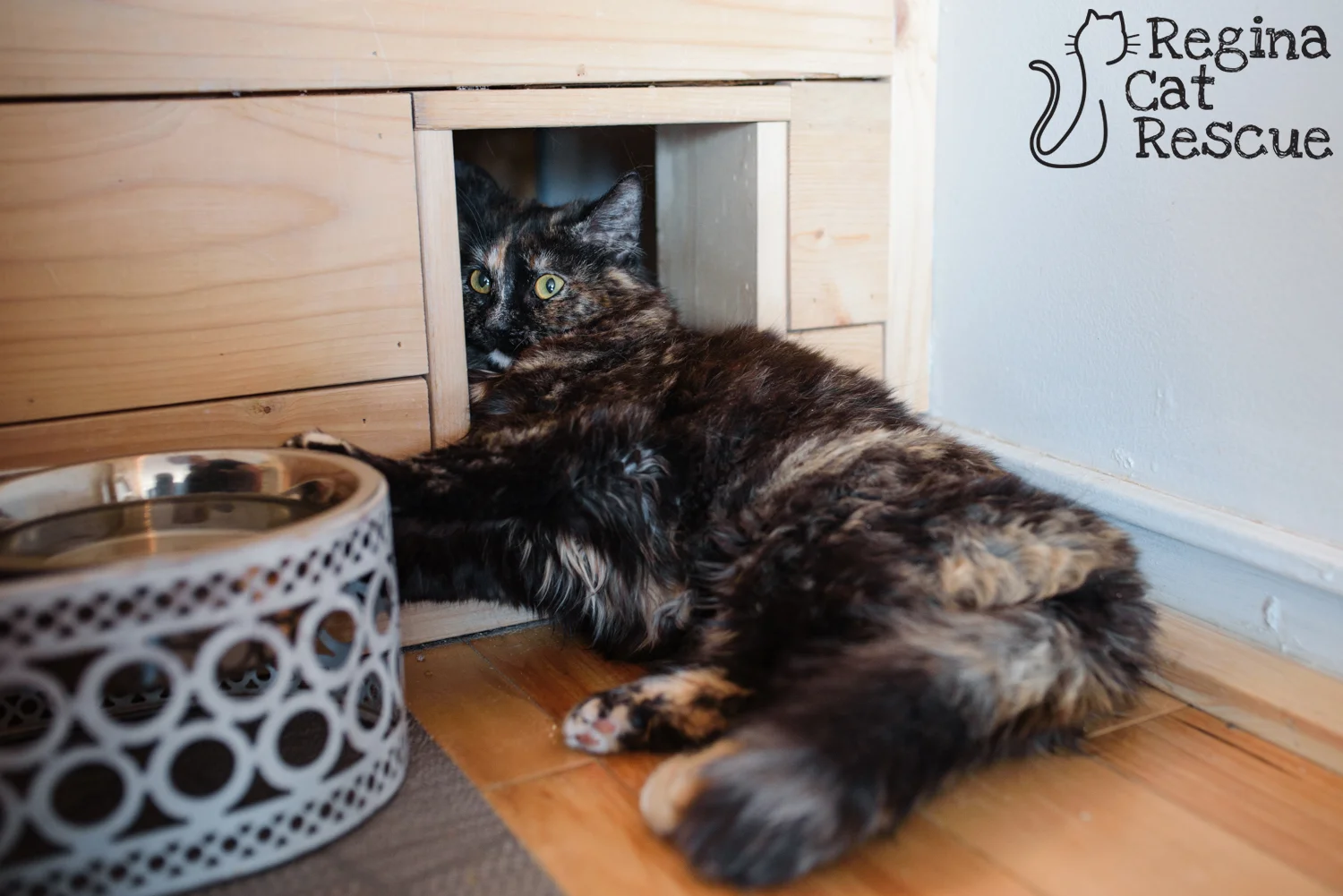 Photos of Marble by Erika Gayle Photography