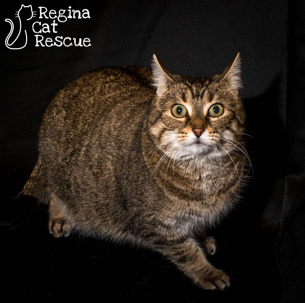 Photos of Smitten by DJ Frigon