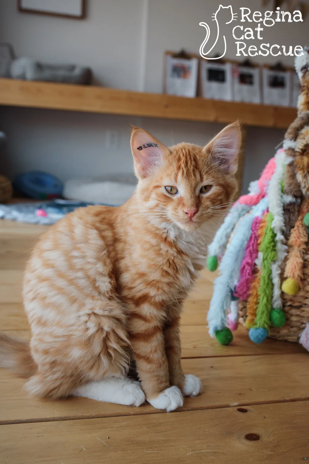 Oliver5-May2019.jpg