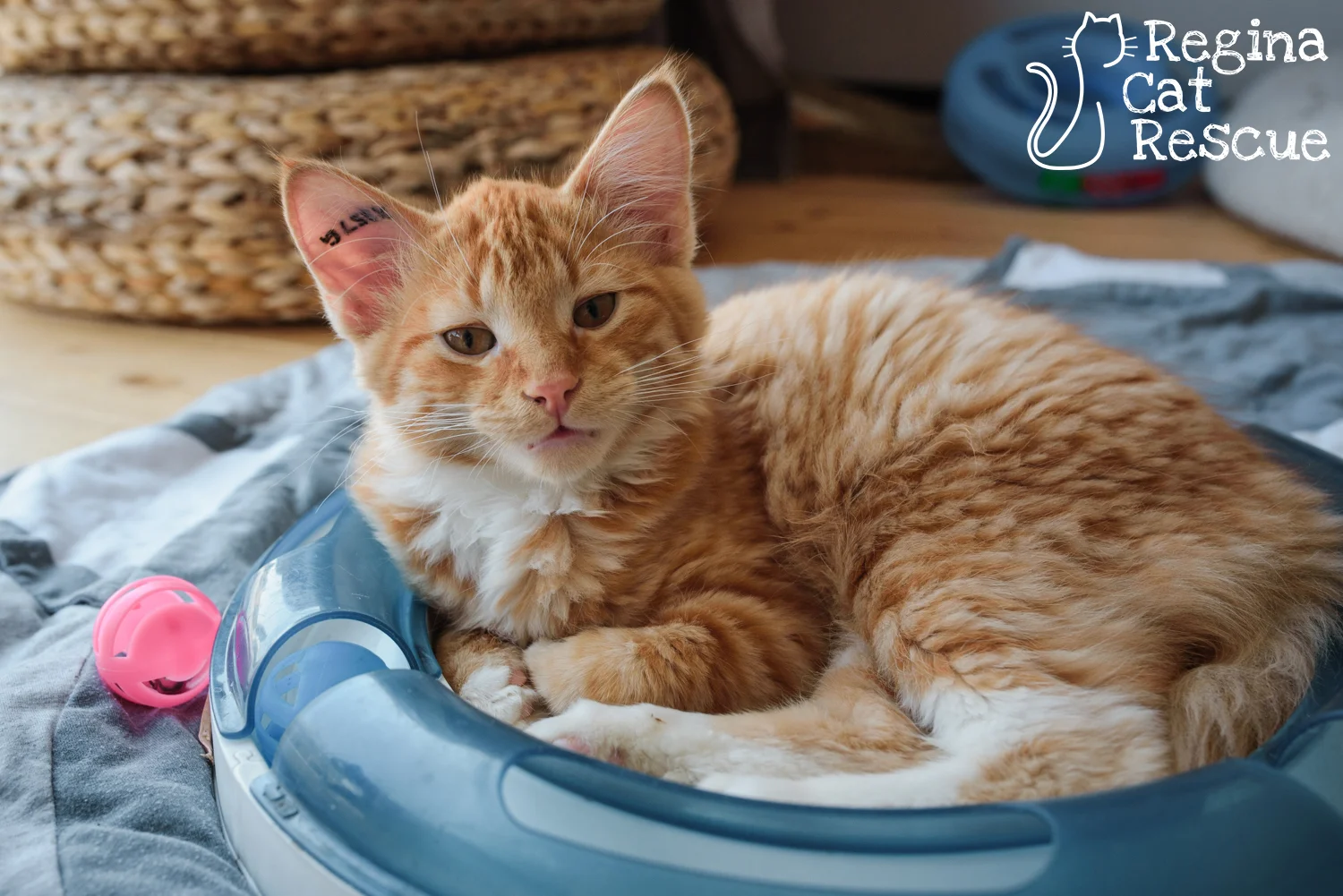 Oliver2-May2019.jpg