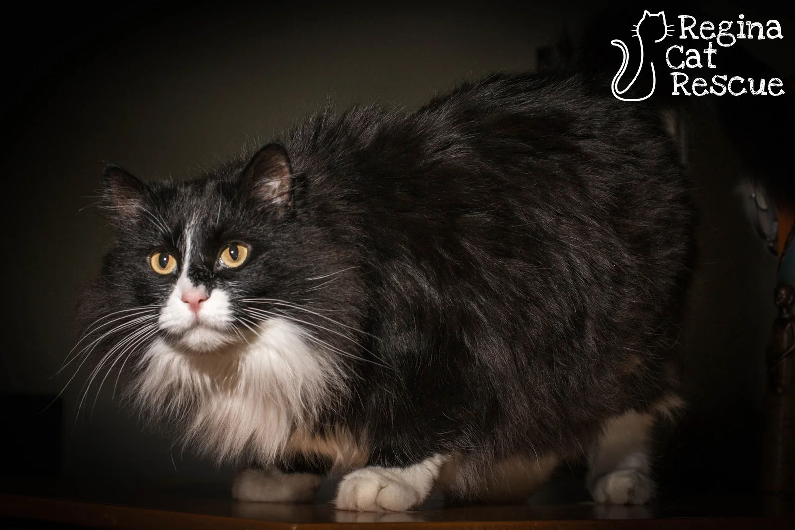 Photos of Ruthie by DJ Frigon