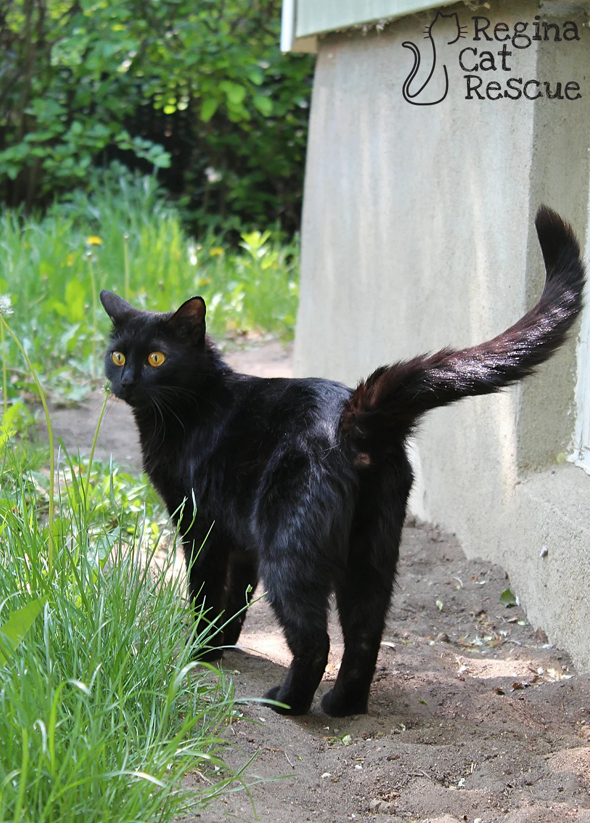 Astrid5.jpg