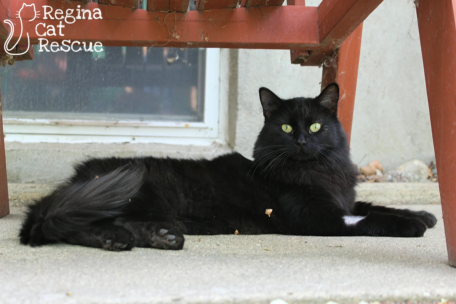 Sammy.jpg