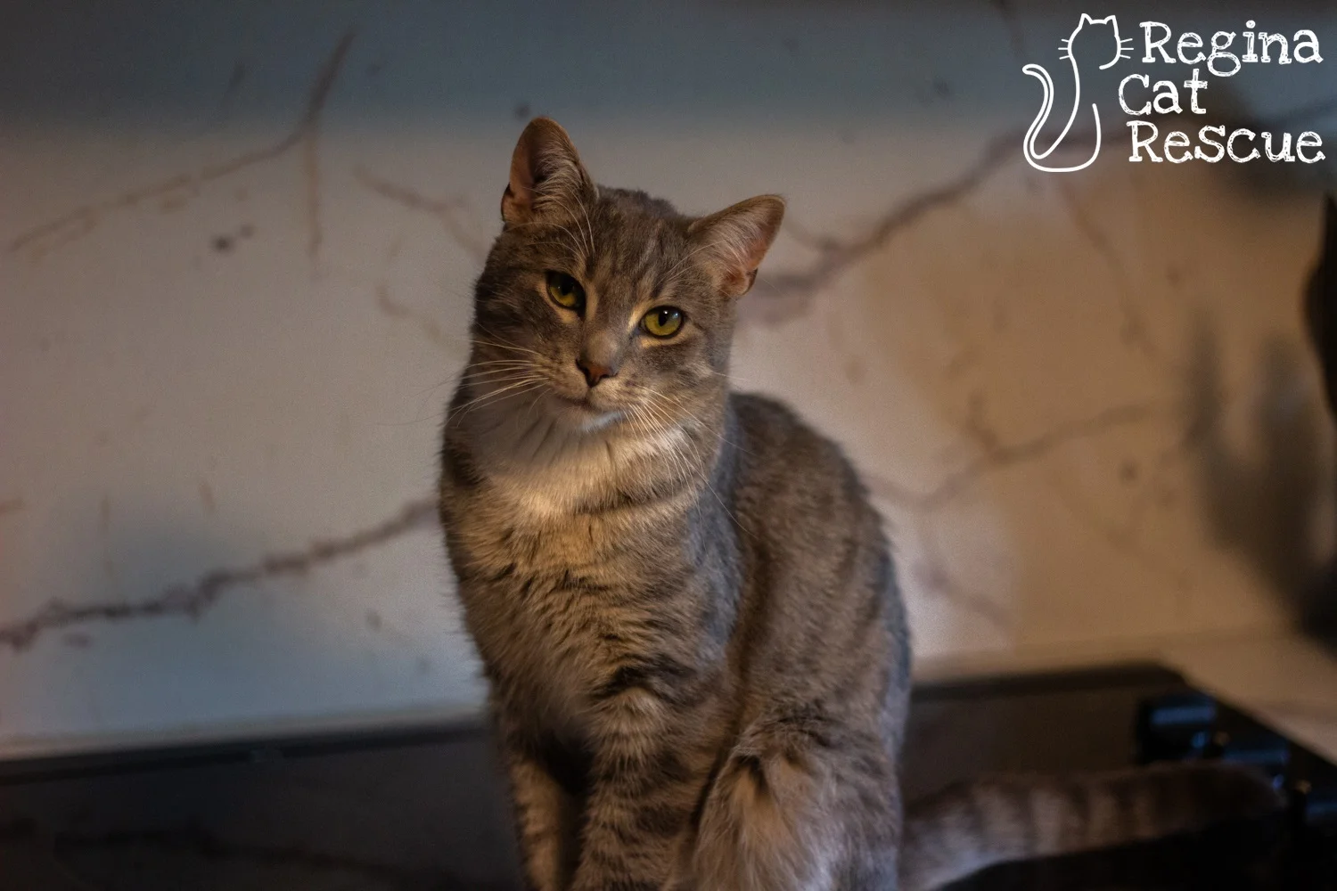 Freddy2-June2019.jpg