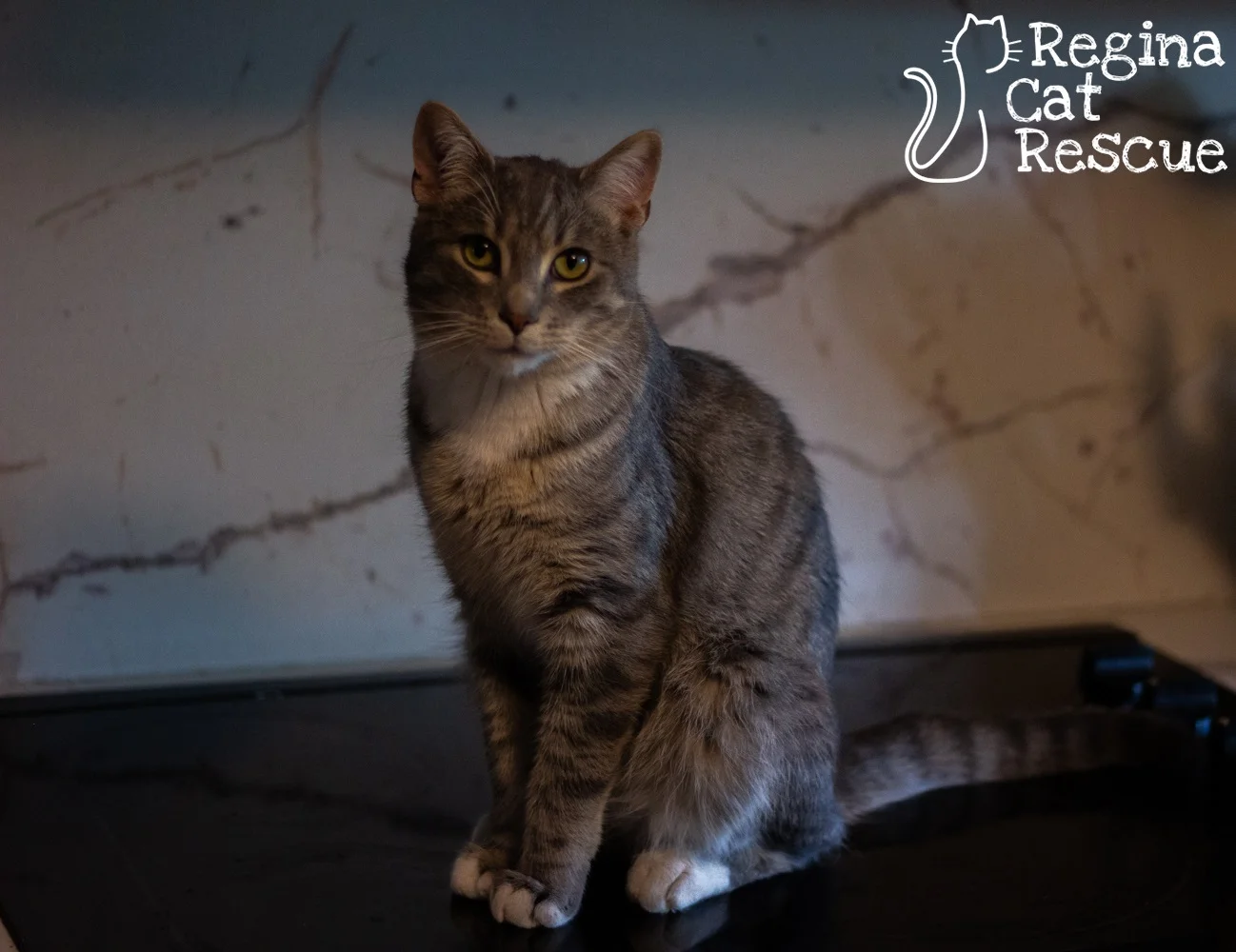 Freddy6-June2019.jpg