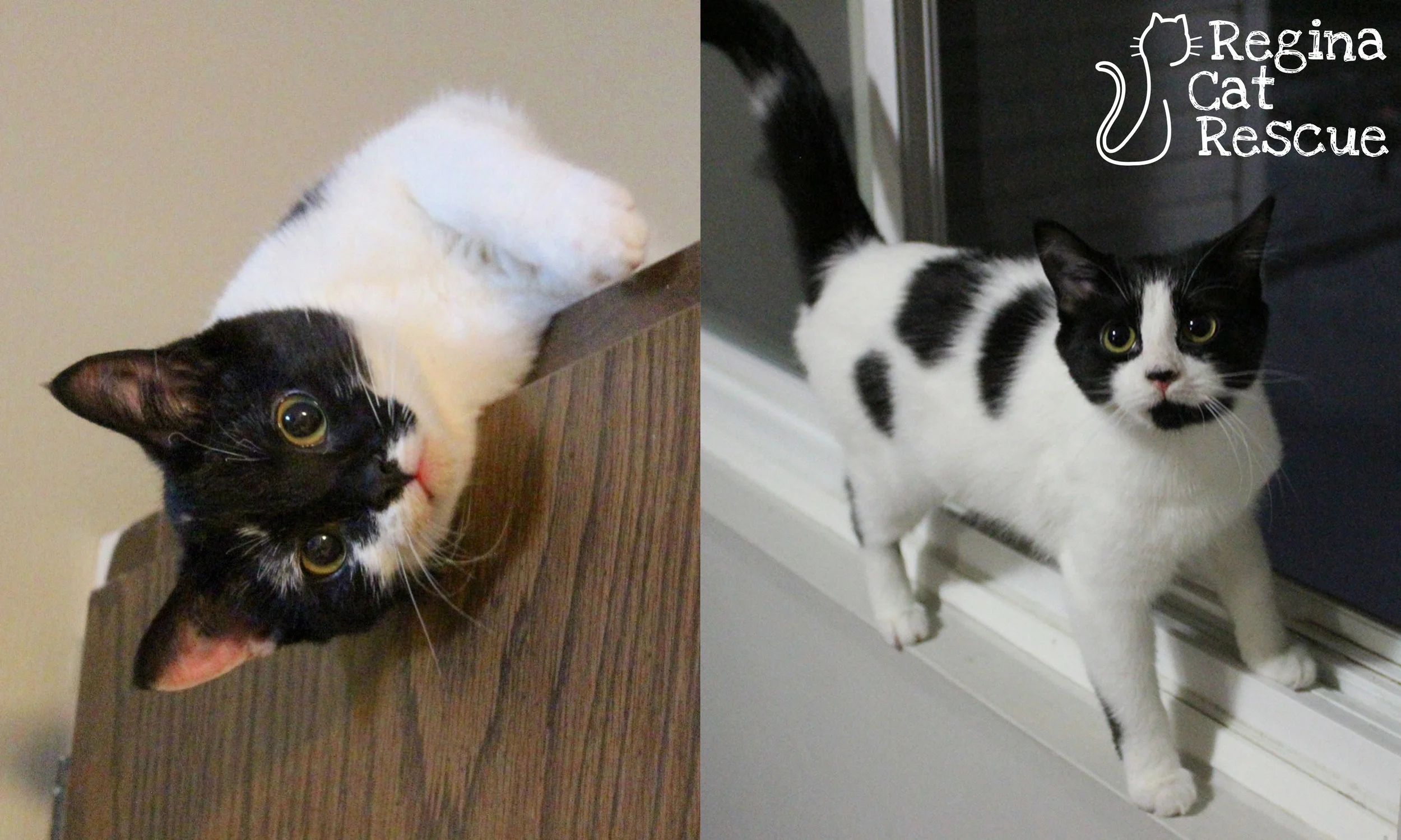 Sisi (left) and Janet (right)