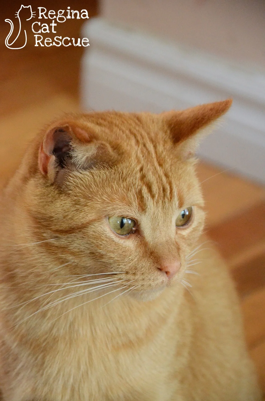 Ben2-June2019.jpg
