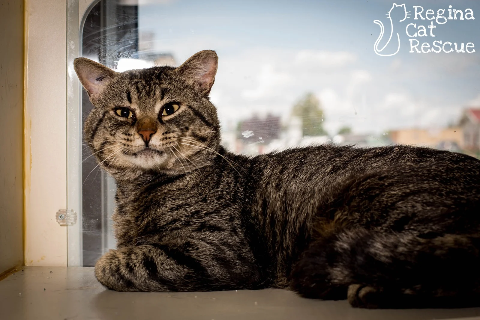 Photos of Harper by DJ Frigon