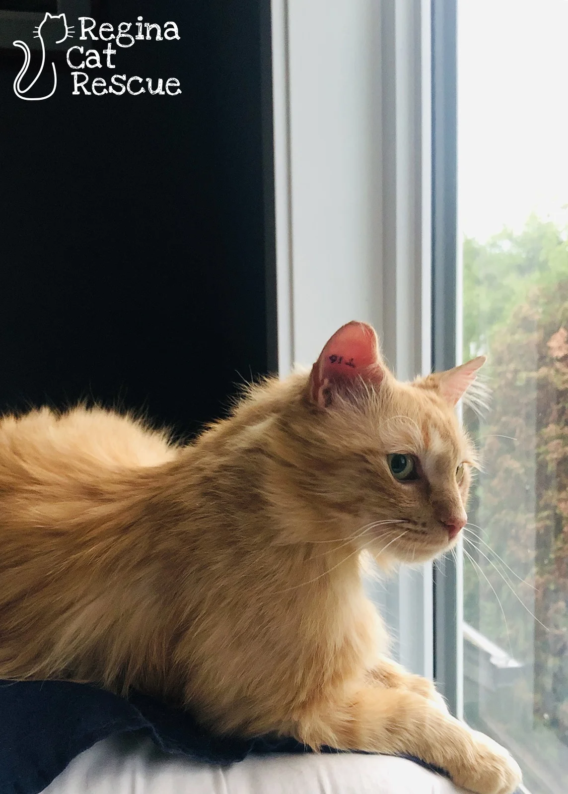 Eldon2-July2019.jpg