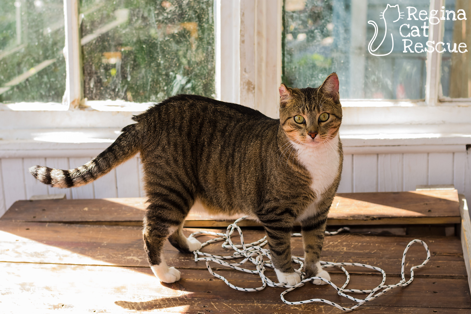 Photos of Curtis by Lindsey-Frozen Moments Photography