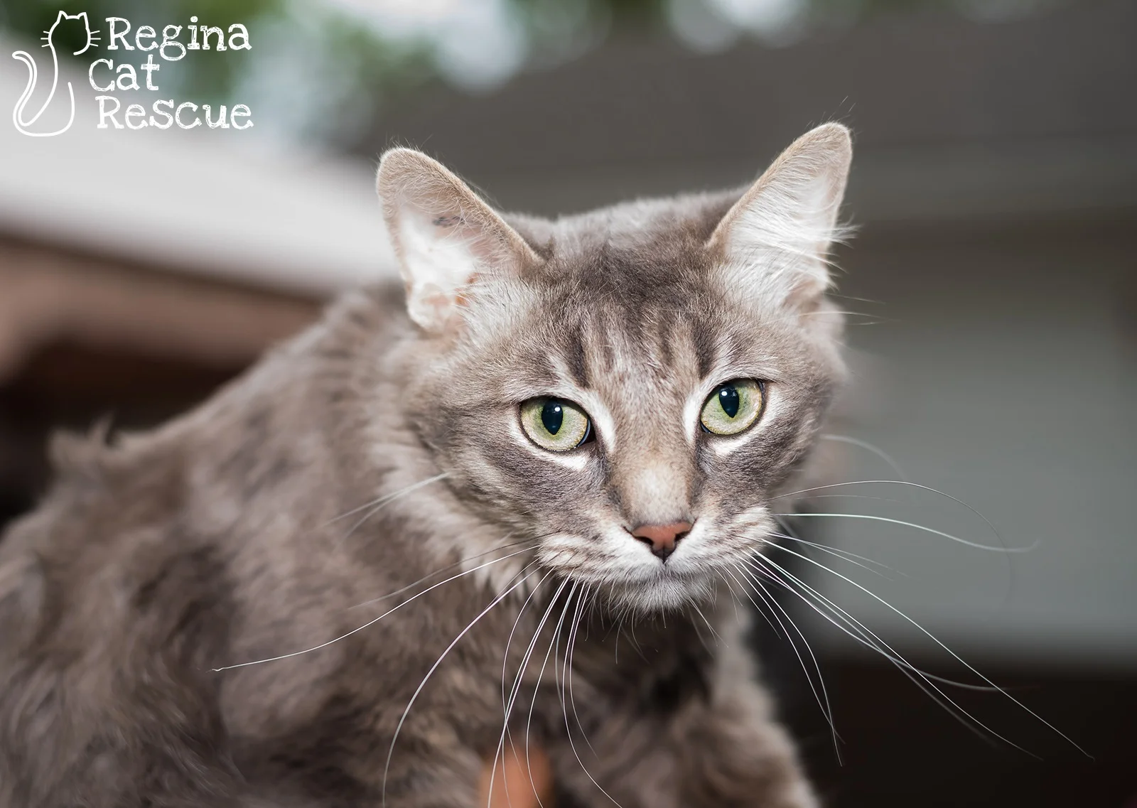 Photos of Grady by Lindsey-Frozen Moments Photography