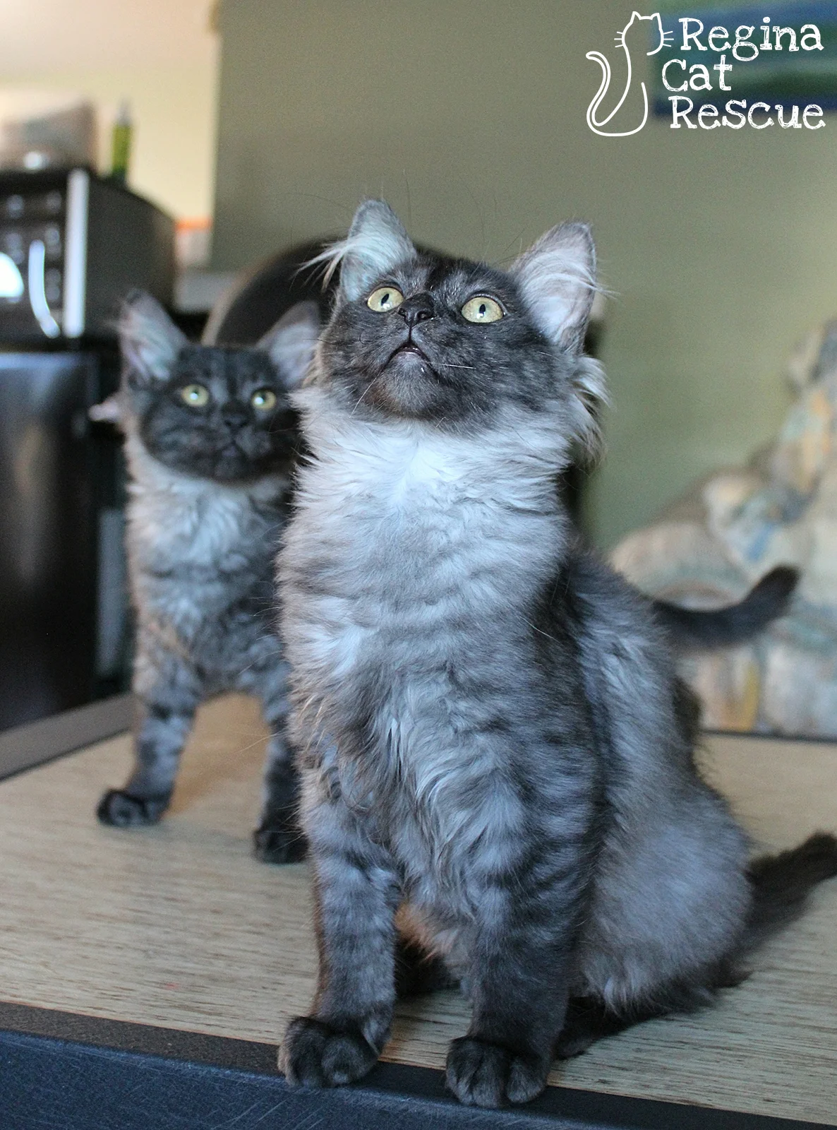 Ash and Slate