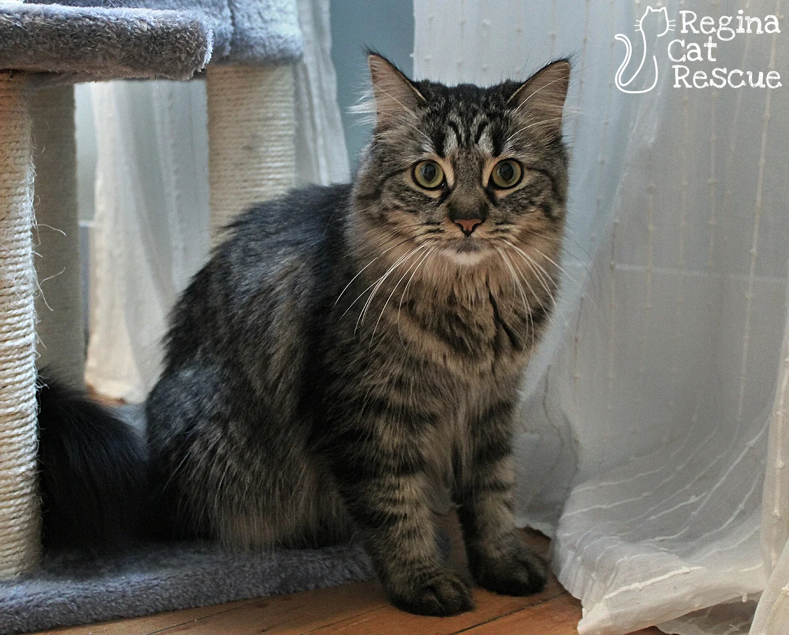 Gizzy3-August2019.jpg
