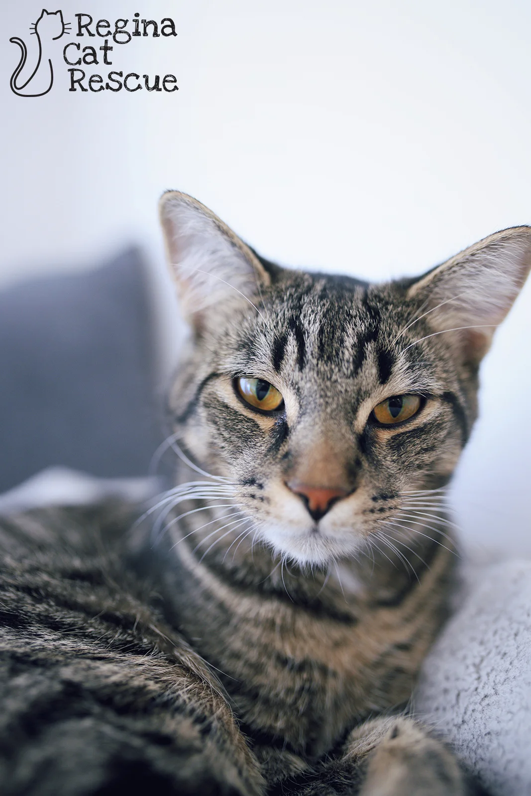 Randy3-August2019.jpg