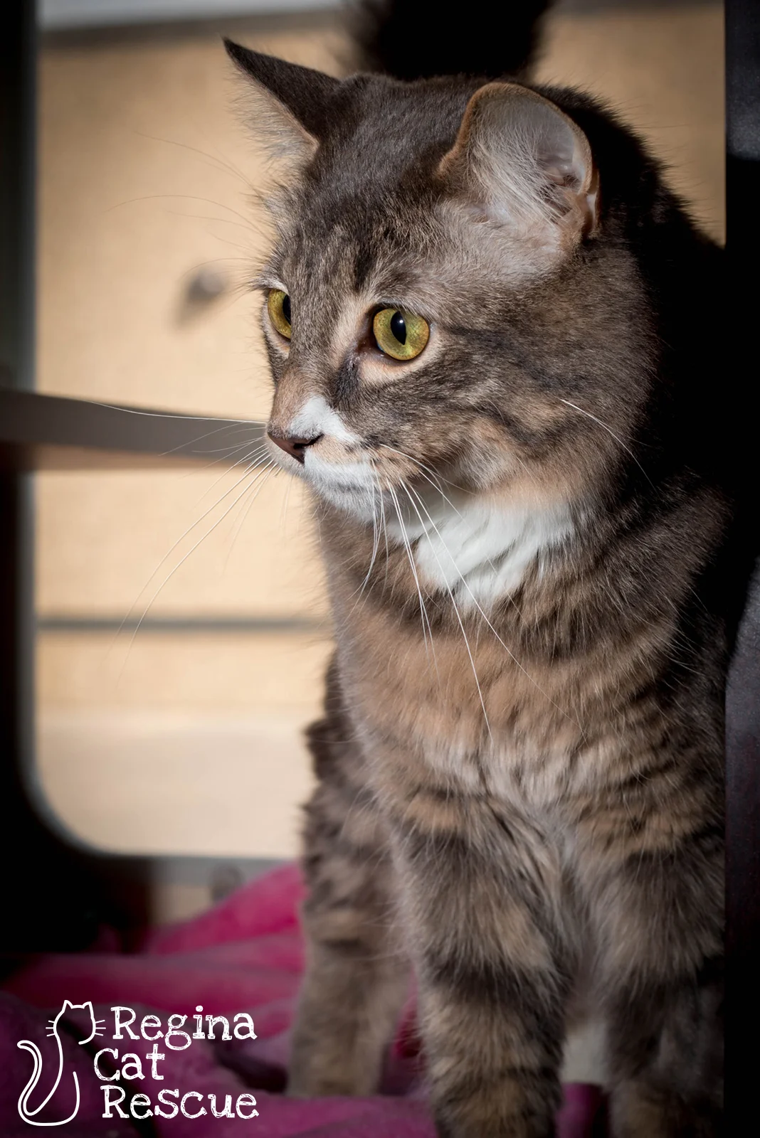 Charlie4-August2019.jpg