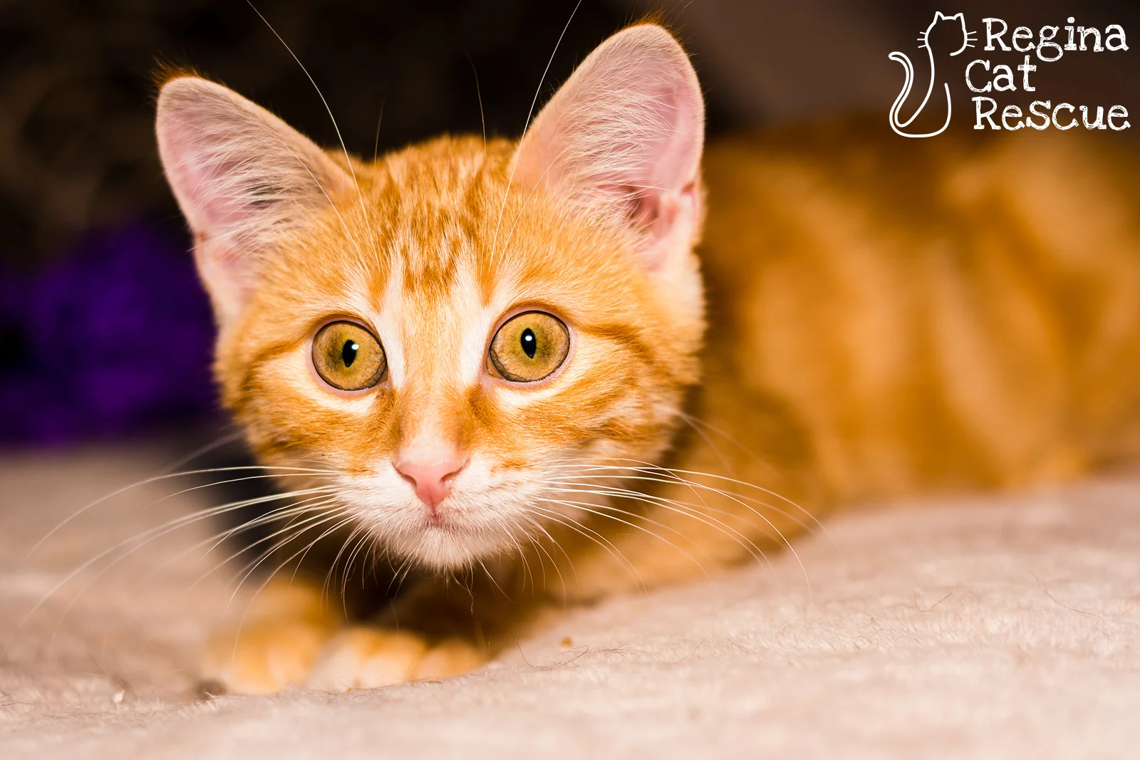 Fred2-August2019.jpg