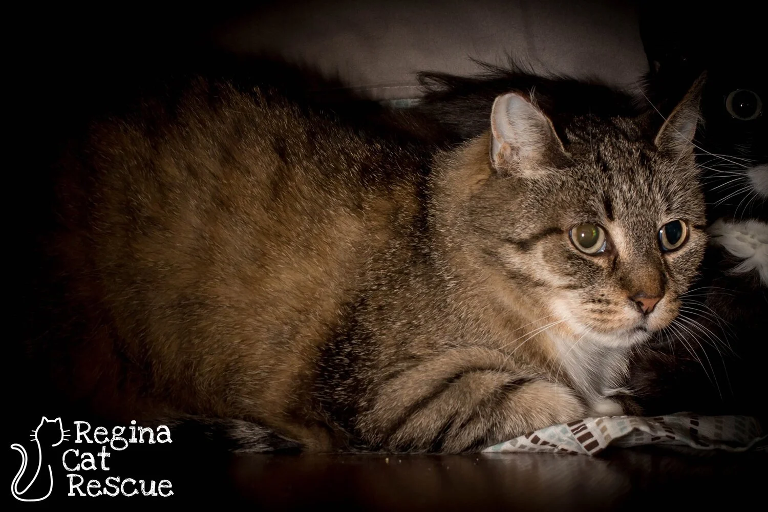 Photo of Karina by DJ Frigon