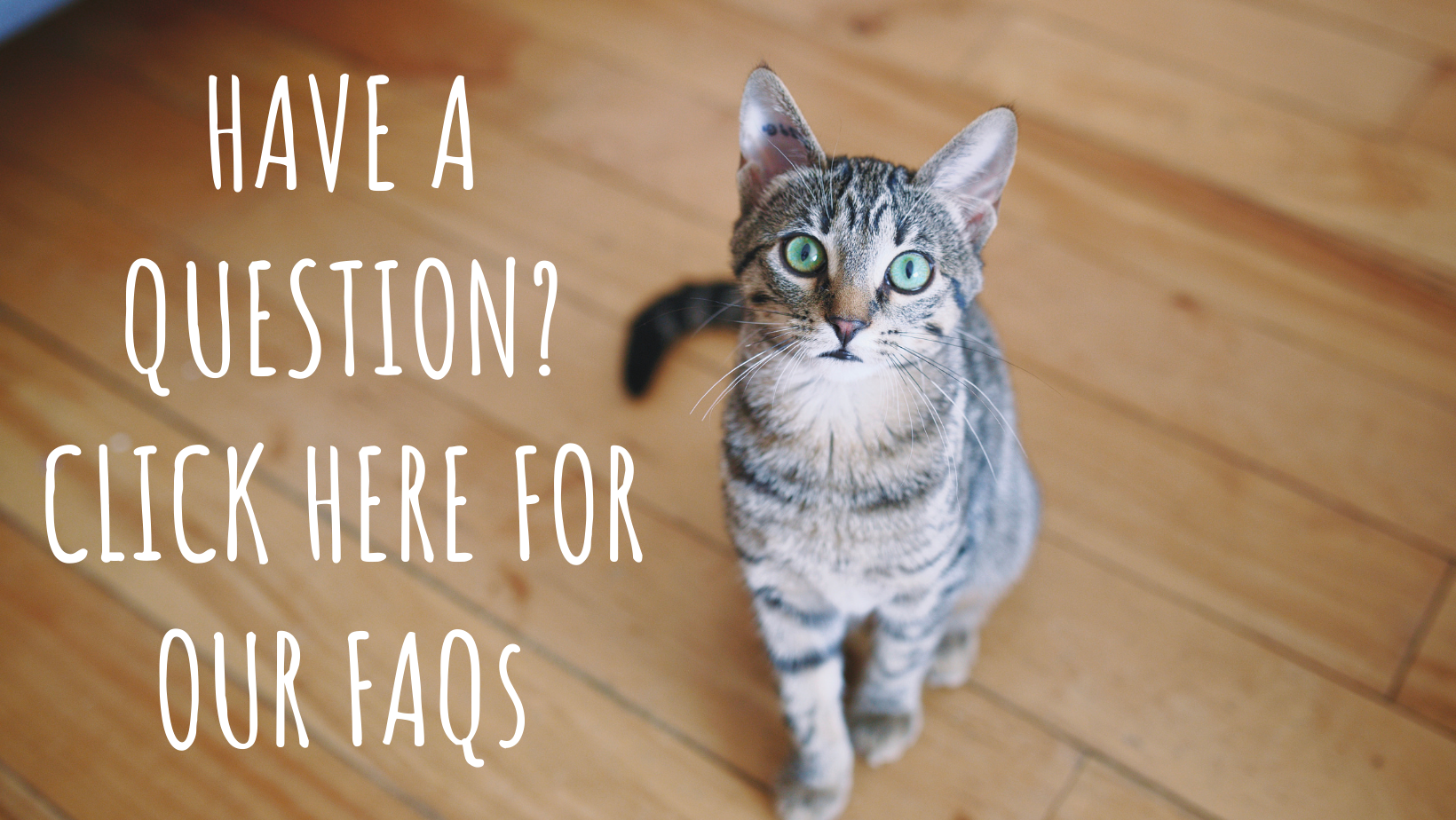 HAVE A QUESTION CLICK HERE FOR OUR FAQ'S.png