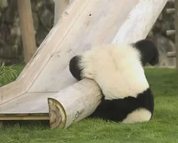 Updates by Google such as Panda have turned some businesses on their heads - but only if they have been relying on unscrupulous SEO tactics.