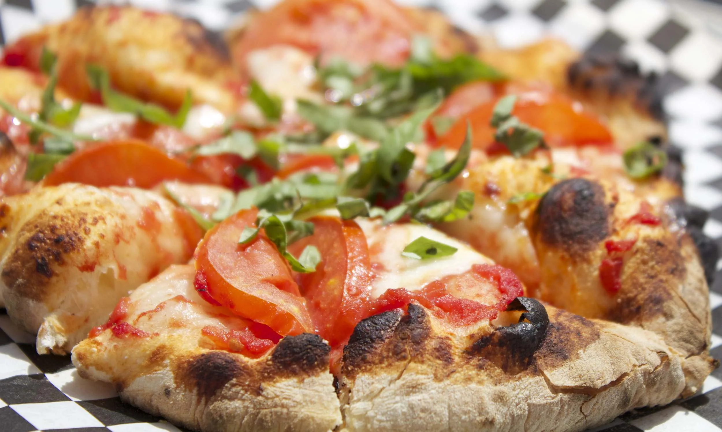 Cane Doro Pizza Catering