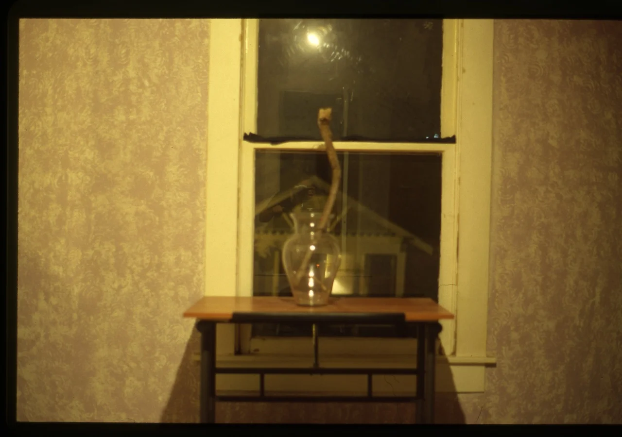 solitude011.jpg