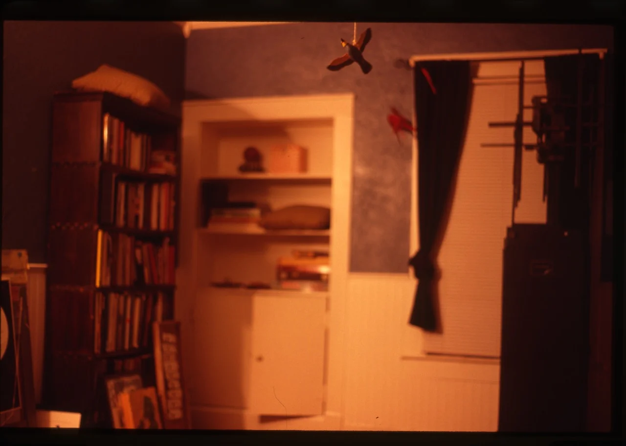 solitude057.jpg