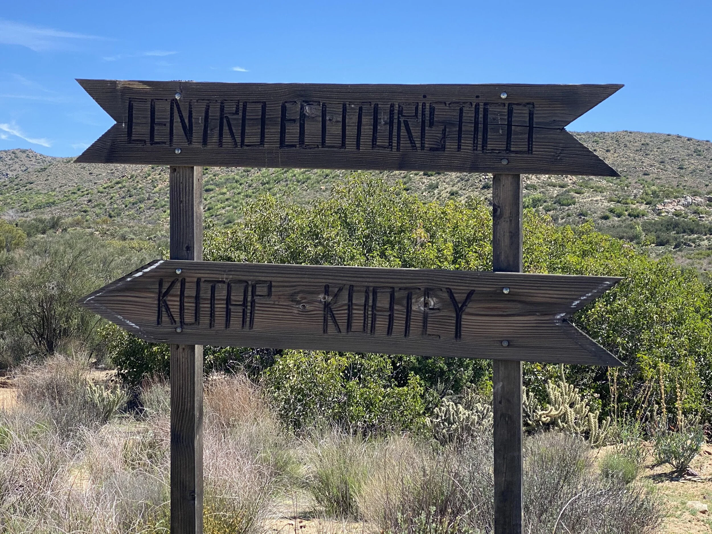 Brigadas de Búsqueda: Day 4