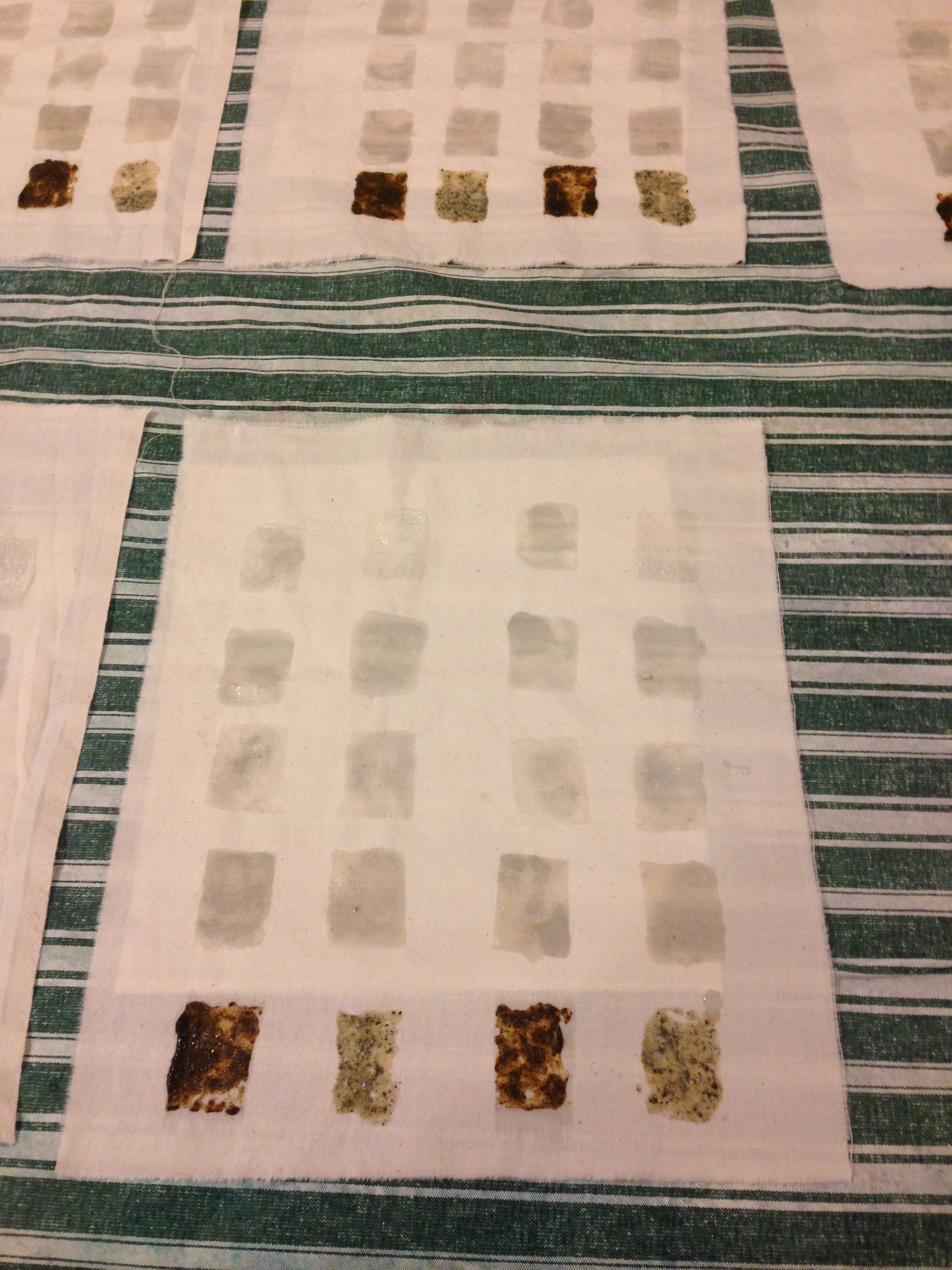 Experiments with mordants in the natural dyes class.