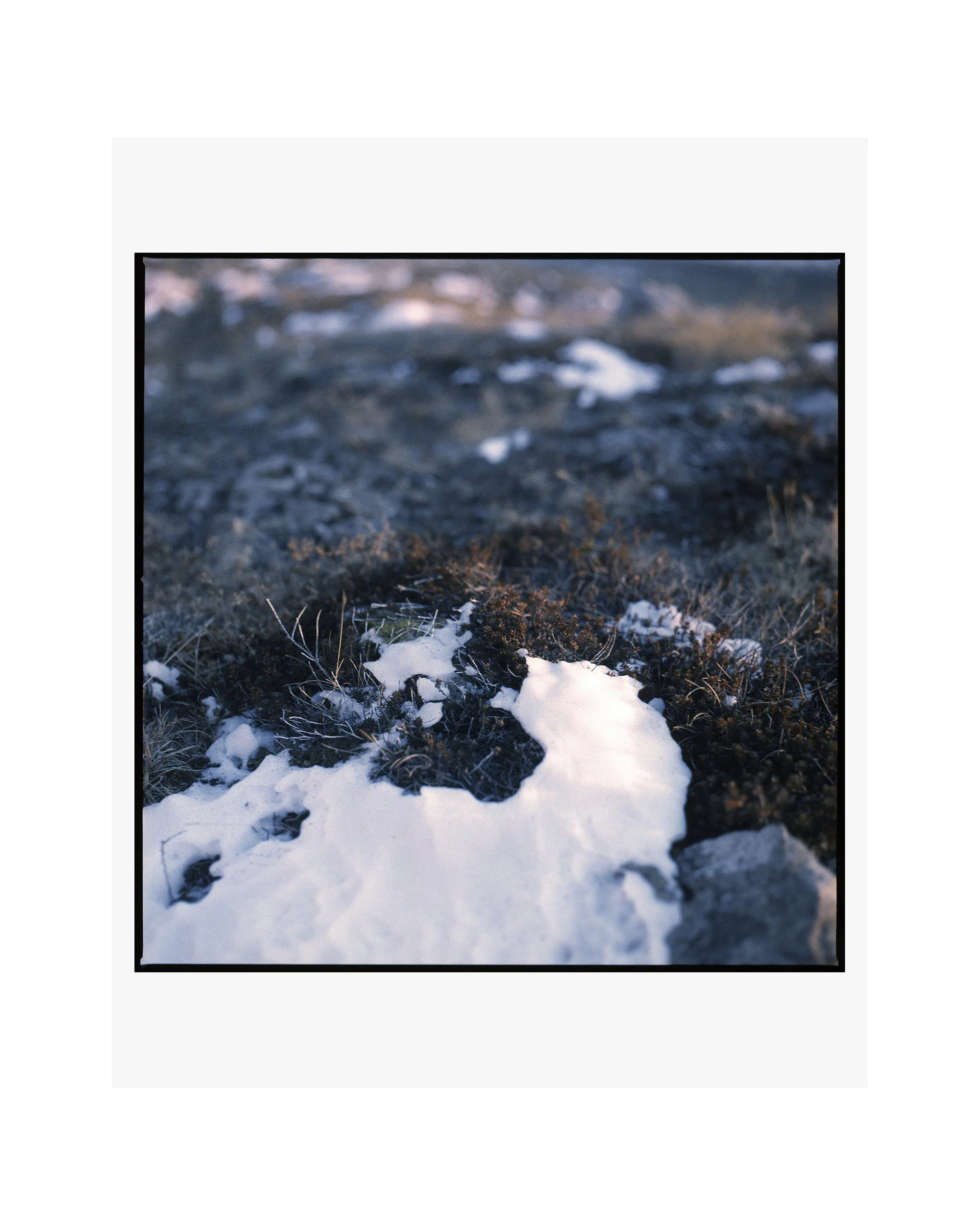 UNP_10_c-print-only_4x5.jpg