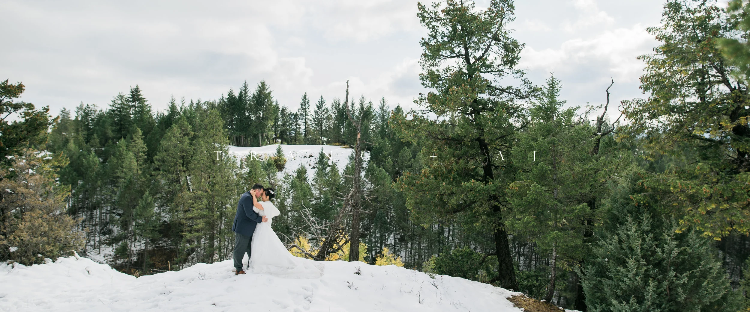 Trang + AJ's Copper Point Resort Wedding