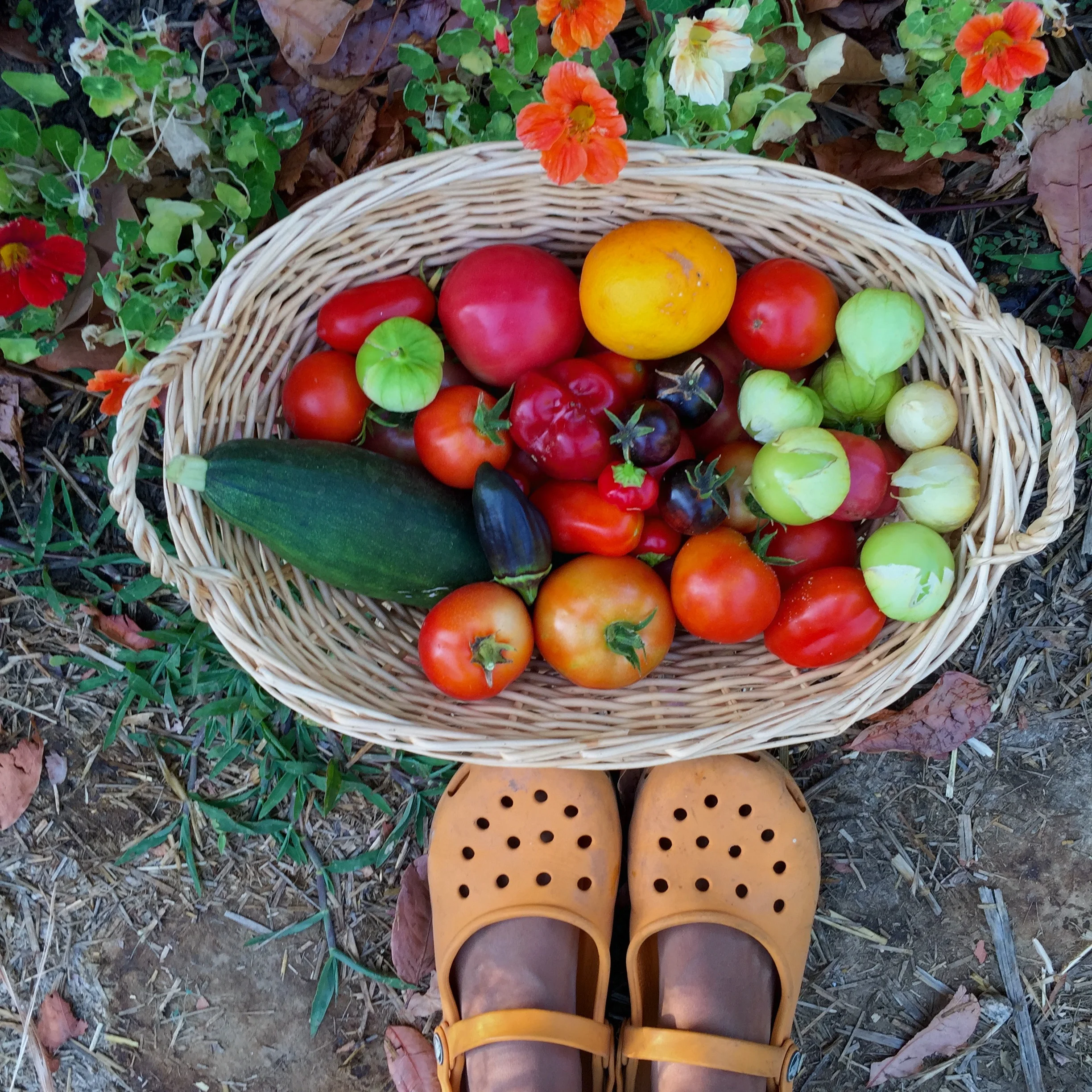 Firstfruits