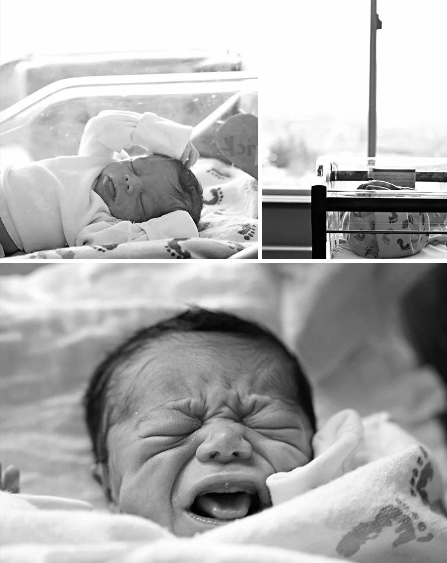 Fresh 48 | Intuition Design Photography | Mankato Photographer