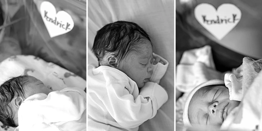 Fresh 48 | Intuition Design Photography | Mankato Photographer