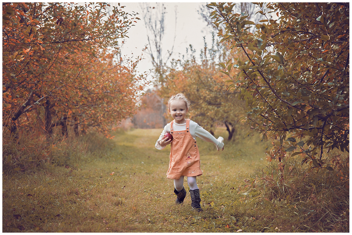 Mankato Family Photographer| ID Photography