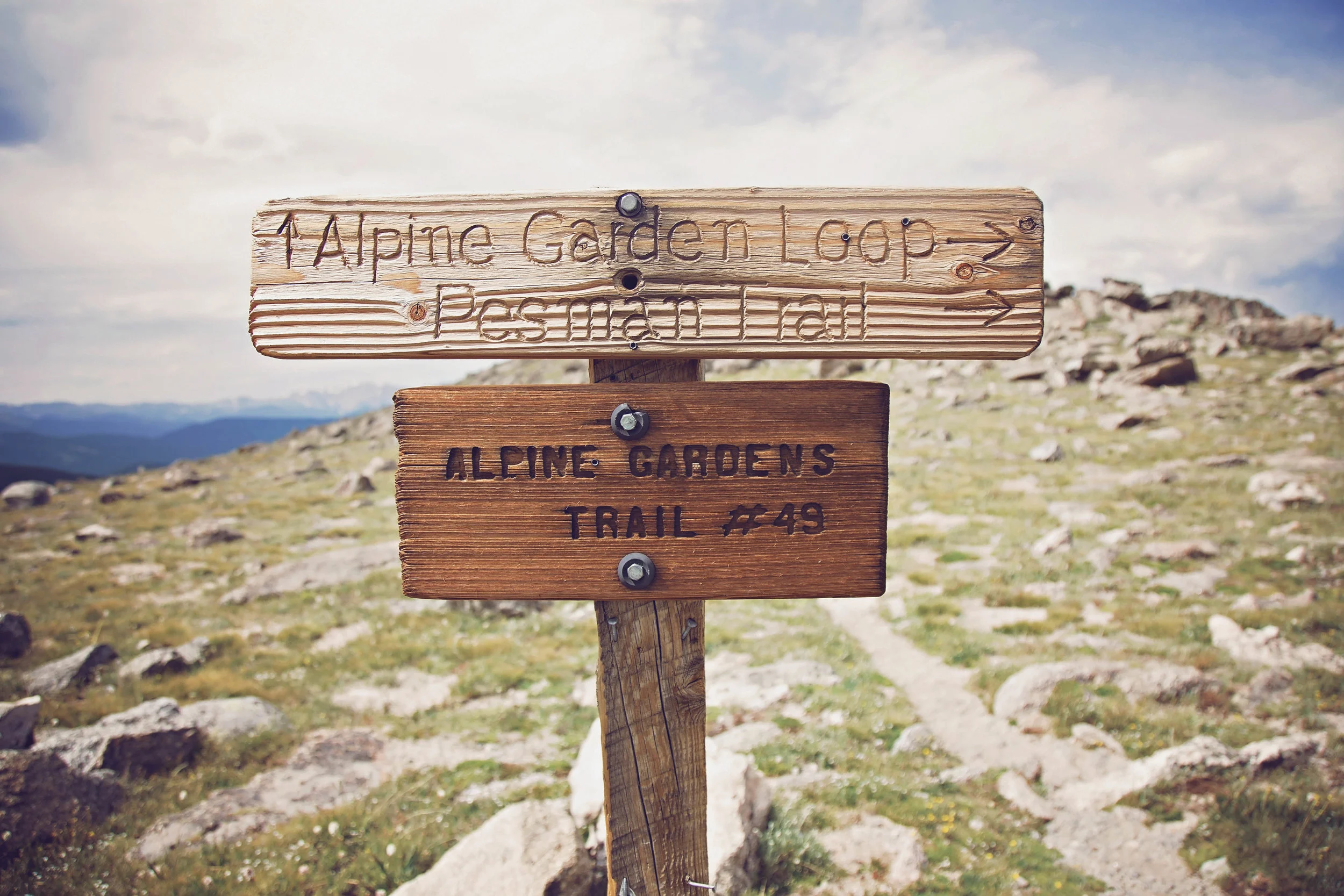 Minnestoa Photographer | Colorado | Our Life Project | ID Photography