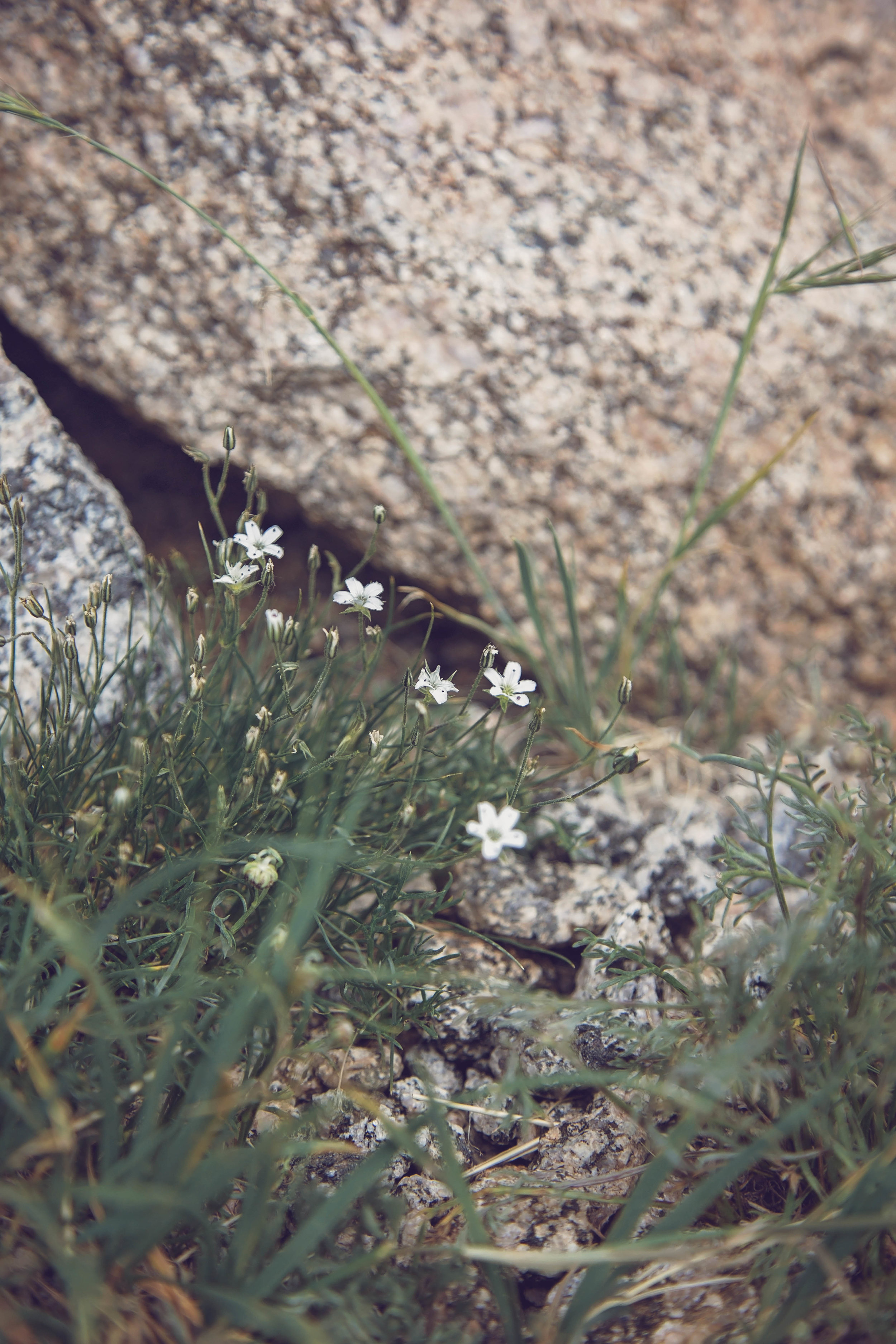 Minnestoa Photographer | Colorado | Our Life Project | ID Photography