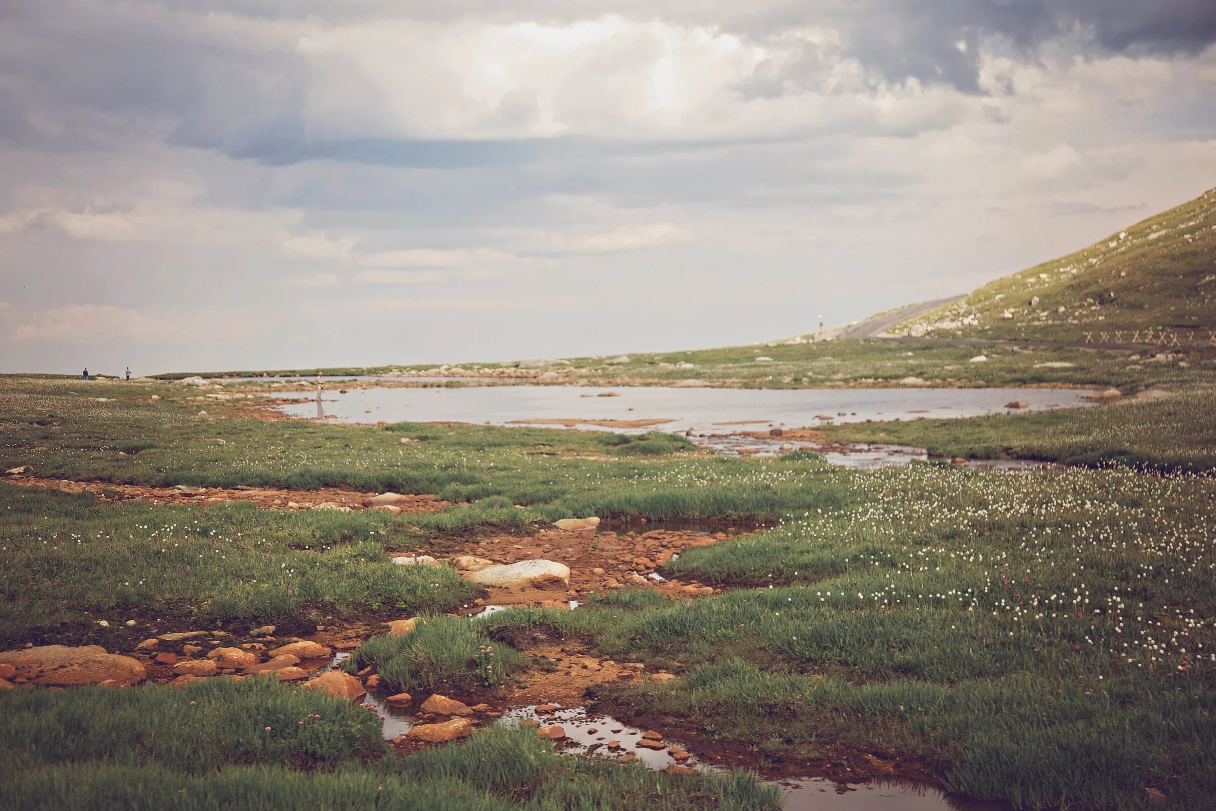 Minnestoa Photographer | Colorado | Our Life Project | ID Photography