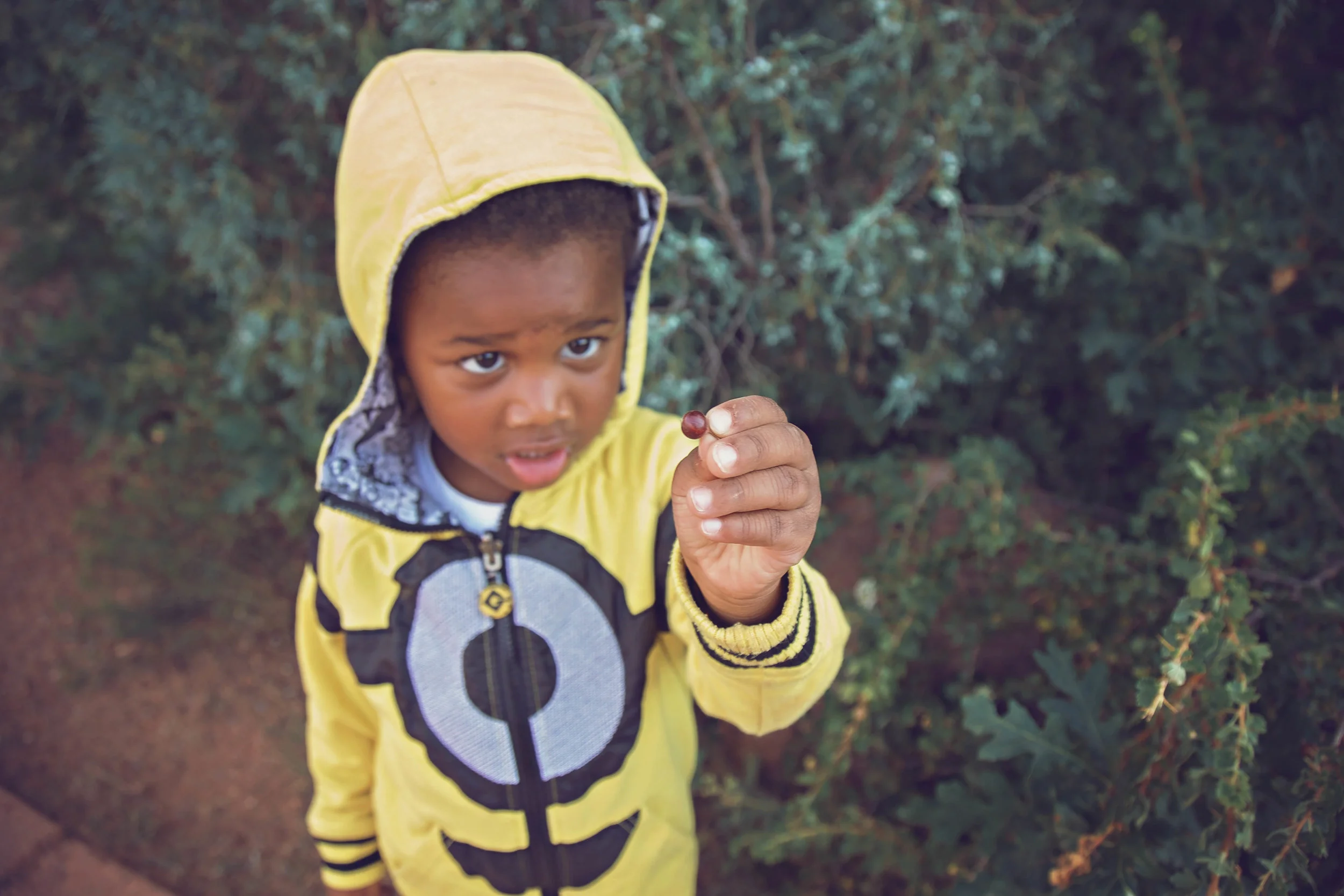 Minnestoa Photographer | Colorado | Our Life Project | ID Photography